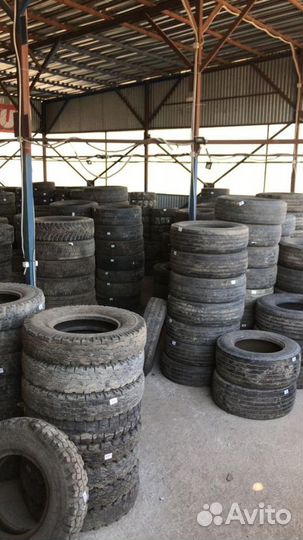 Gislaved Nord Frost 5 205/65 R15