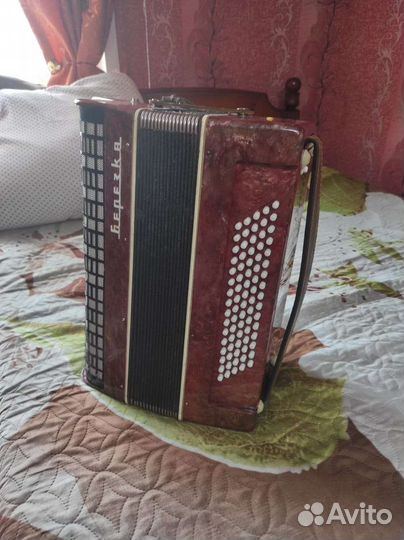 Аккордеон березка