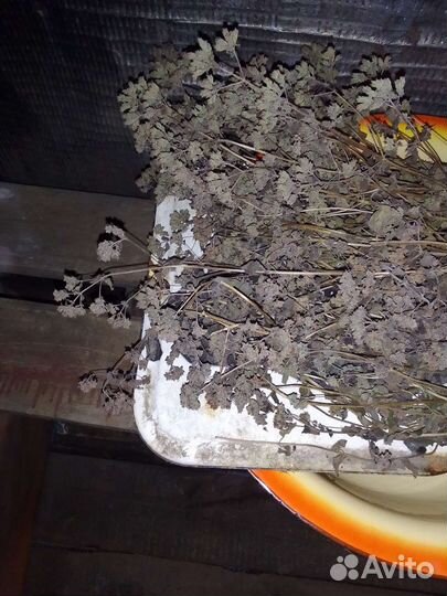 Мелисса лимонная, чабрец, душица,мята