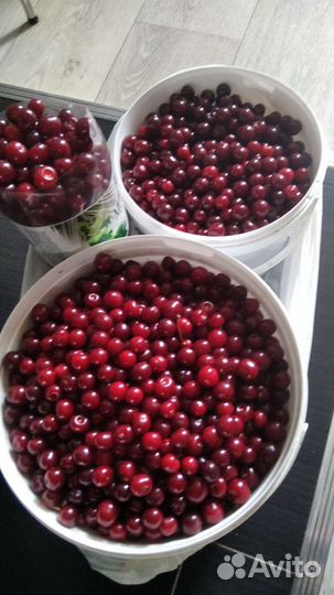 Вишневое варенье