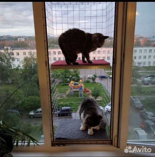 Балкон для прогулки любимца Прояви Любовь и заботу