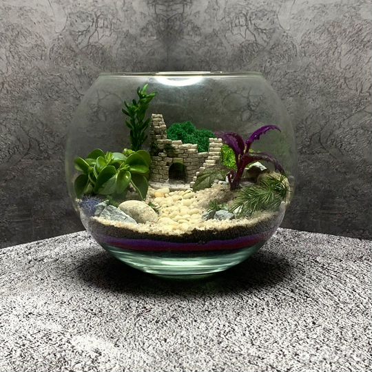 Флорариумы и моссариумы