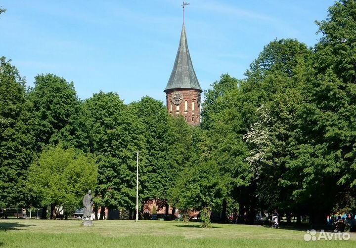 Поездка в г. Калининград 7 нч