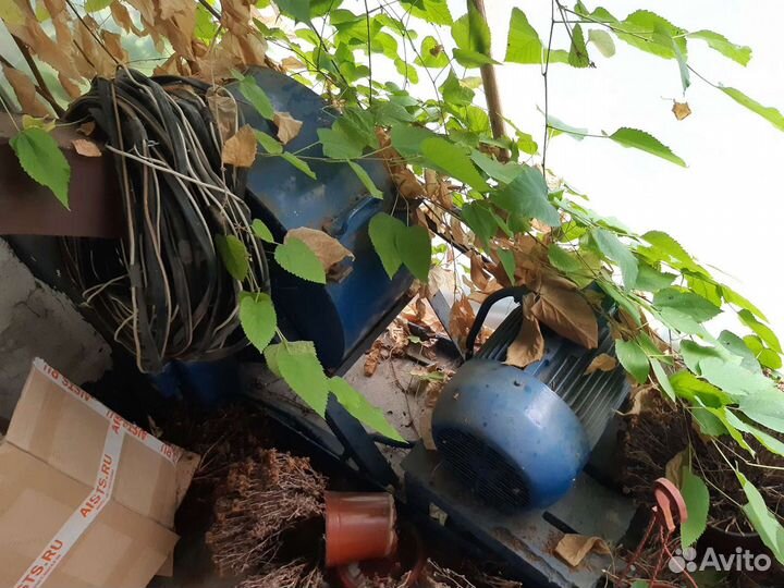 Оборудование для производства арболита