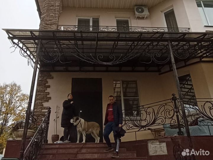 Навесы на заказ под ключ