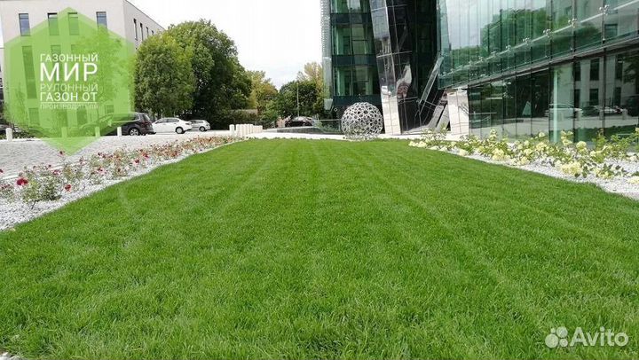 Рулонный газон