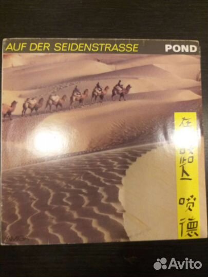 Pond,Auf der seidenstrasse