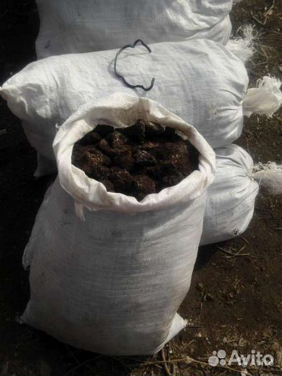 Куриный помет в мешках