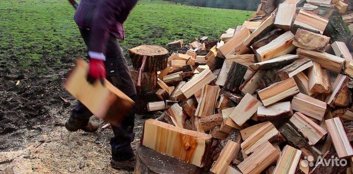 Дрова Осиновые