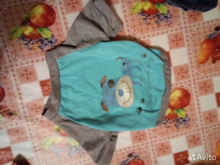 Одежда для собак мелких пород