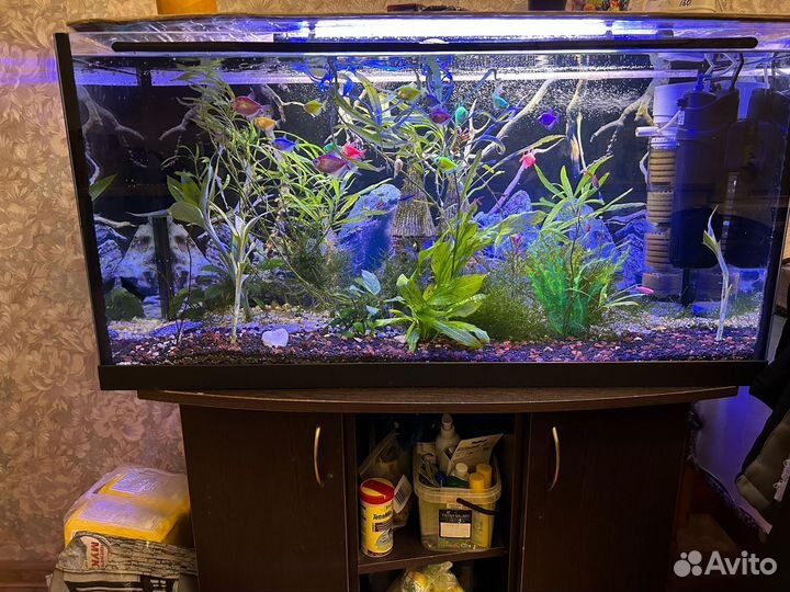 Аквариум