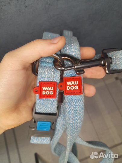Амуниция для собак Waudog
