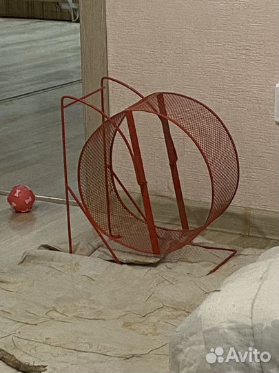 Колесо для грызунов