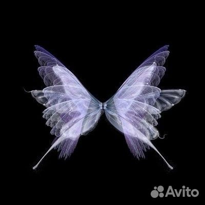 Монтаж фото и видео