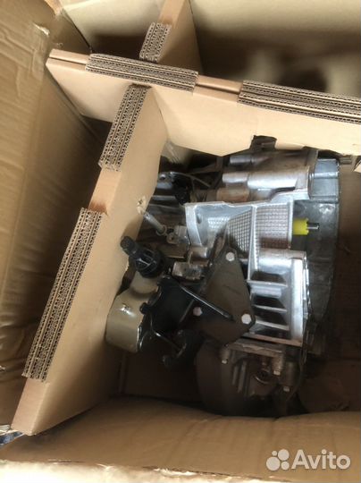 9838851480 новая Boxer Jumper