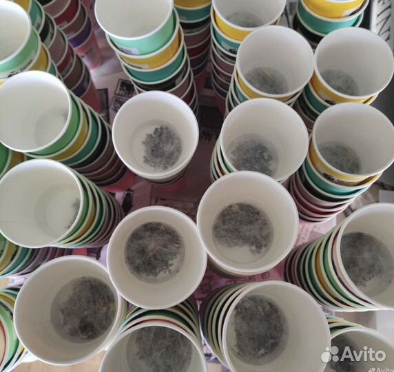 Чай и кофе с собой крупнолистовой настоящий