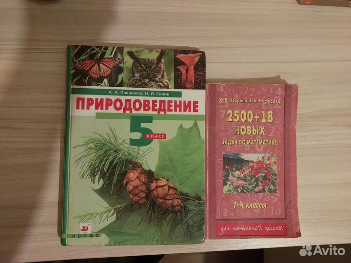 Детские книги, детская литература на лето