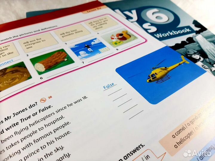 Family and Friends 6 второе издание