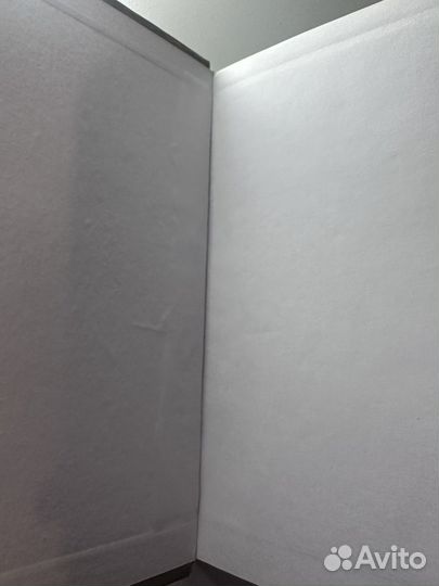 Комнатные растения целители в вашем доме