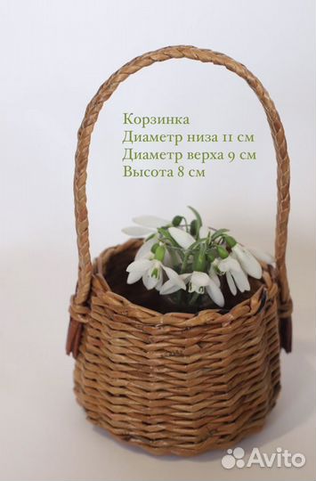 Плетеные корзинки