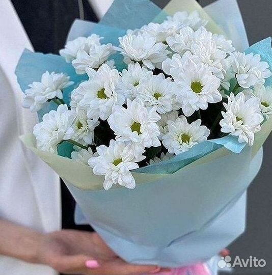 Хризантема Букет хризантем Доставка