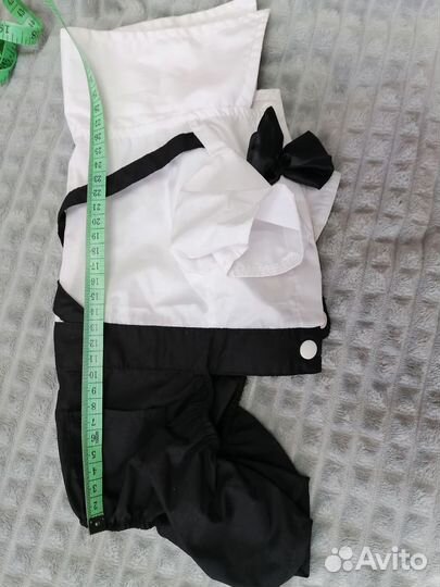 Одежда для маленьких собак