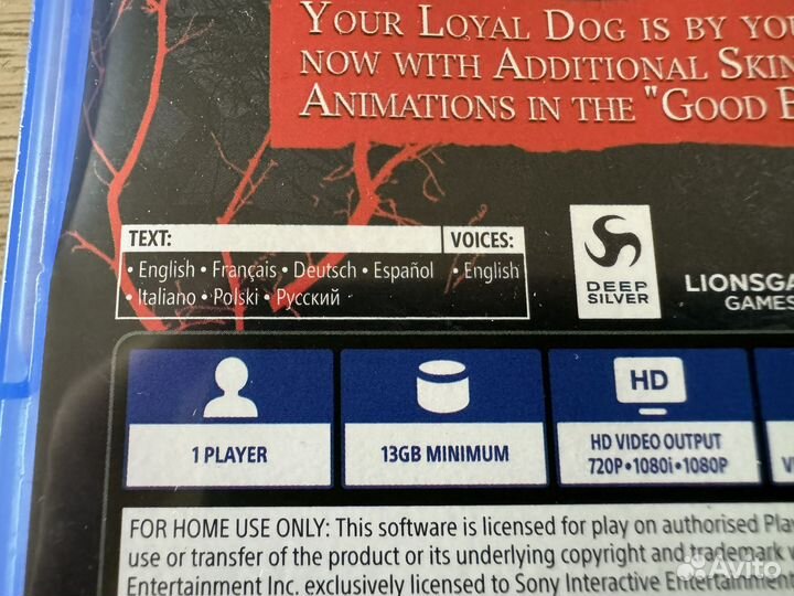 Blair witch ps4 (Rus)