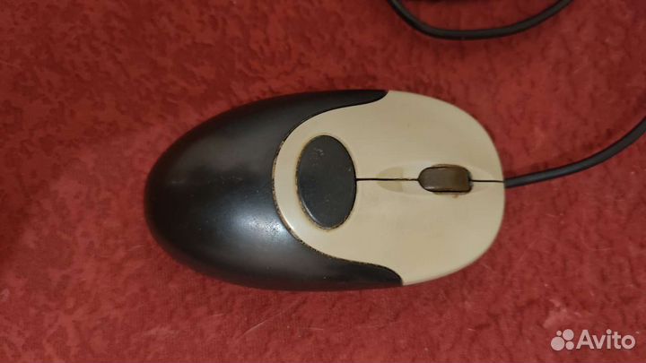 Компьютерная мышка