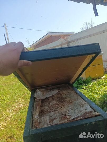 Ловушка для ловли роëв