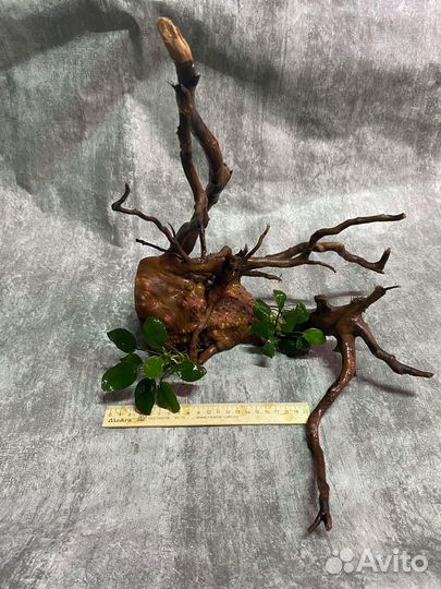 Коряги для аквариума