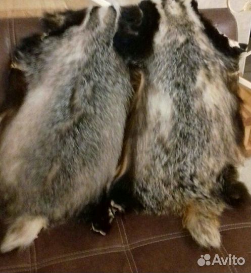 Шкурка барсука