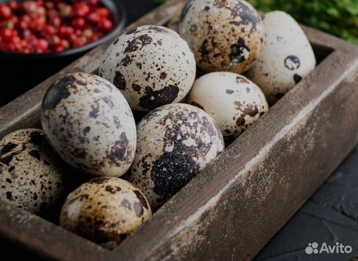 Яйца перепелиные домашние