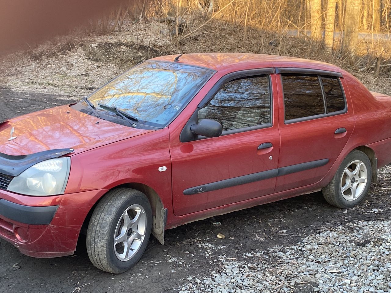 Renault Symbol: фото владельца