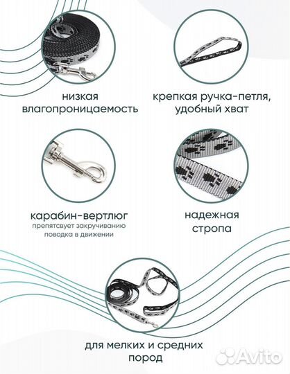 Ошейник и поводок