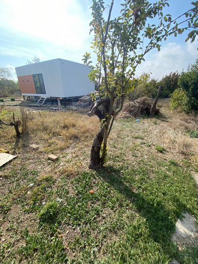 Участок 5,9 сот. (СНТ, ДНП)