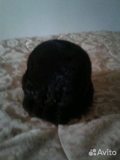 Шапка норковая