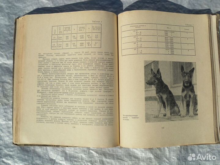 Книги по собаководству