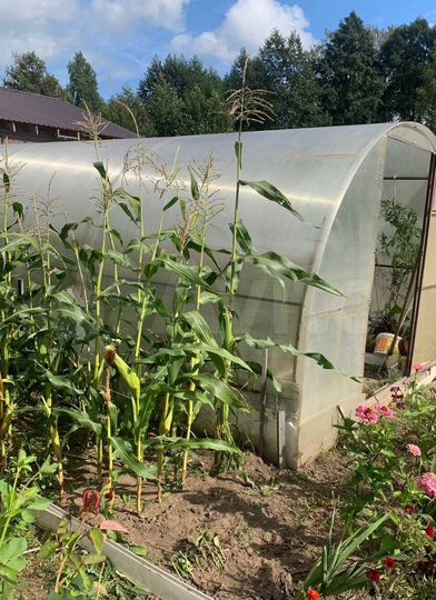 Дача 46,3 м² на участке 14 сот.