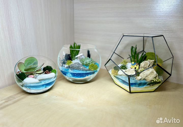 Флорариум с суккулентами - дизайн, интерьер
