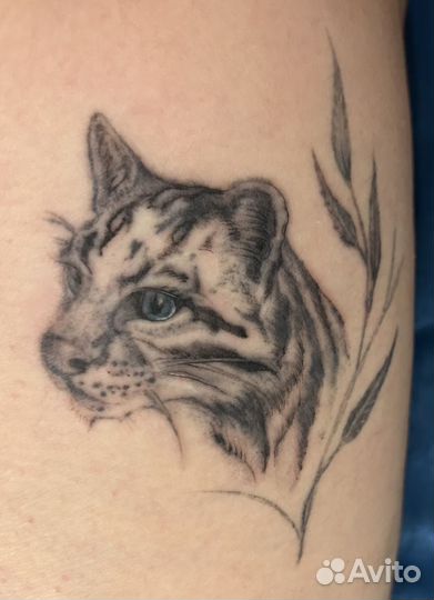 Тату мастер