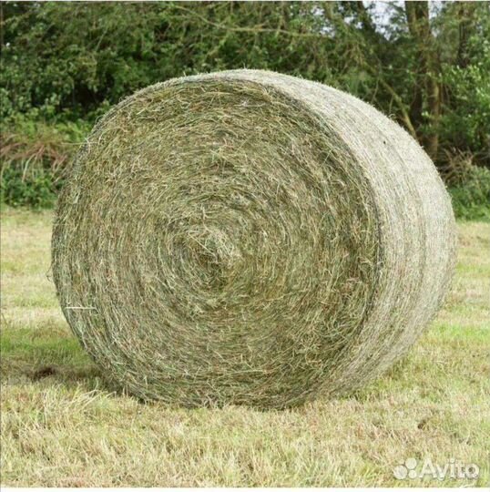 Сено в рулонах