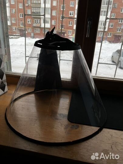 Защитный воротник для собак