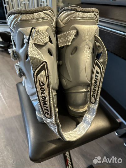 Горные лыжи