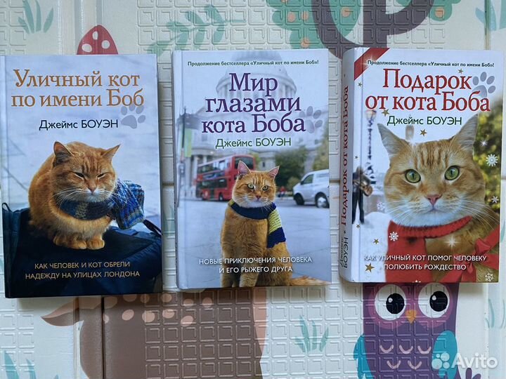 Уличный кот по имени боб