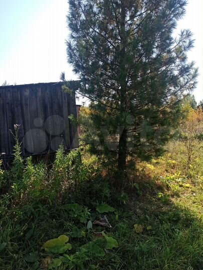 Дом 50 м² на участке 10 сот.