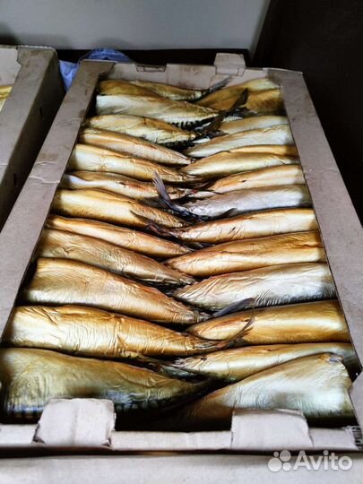 Скумбрия холодного копчения