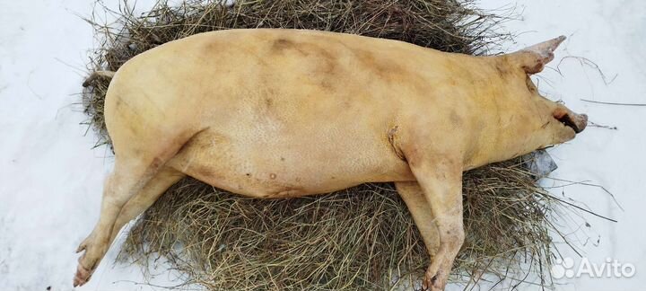 Свинина деревенская