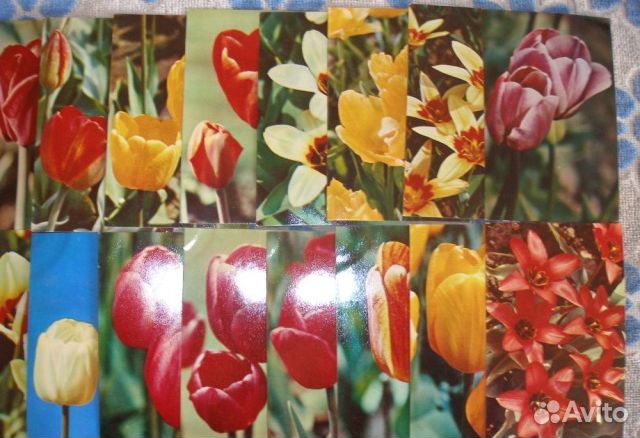 Набор цв. открыток 