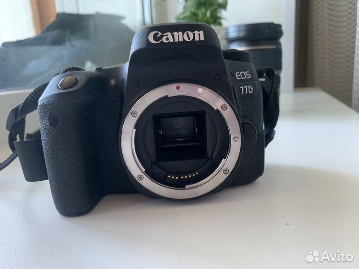 Фотоаппарат Canon eos 77d body