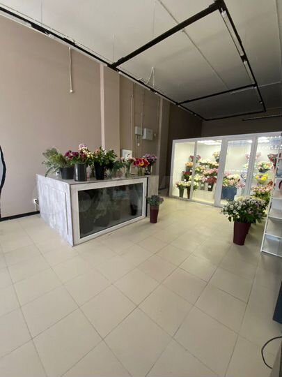 Свободного назначения, 74.4 м²